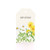 Birthday Daisy Garden