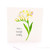 Botanica Birthday Freesia