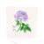 Botanica Thank You Lilac Rose