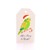 Candy Cane Budgie