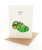 Punny Xmas - Croc