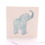 Baby Elephant
