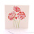 Lovely Blooms