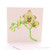 Botanica Orchid