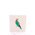 Budgie