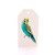 Budgie