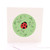 Ladybird