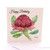 Australis Waratah