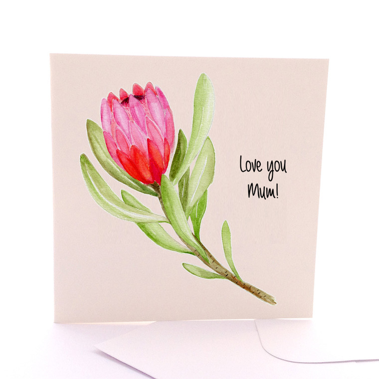 Pink Protea