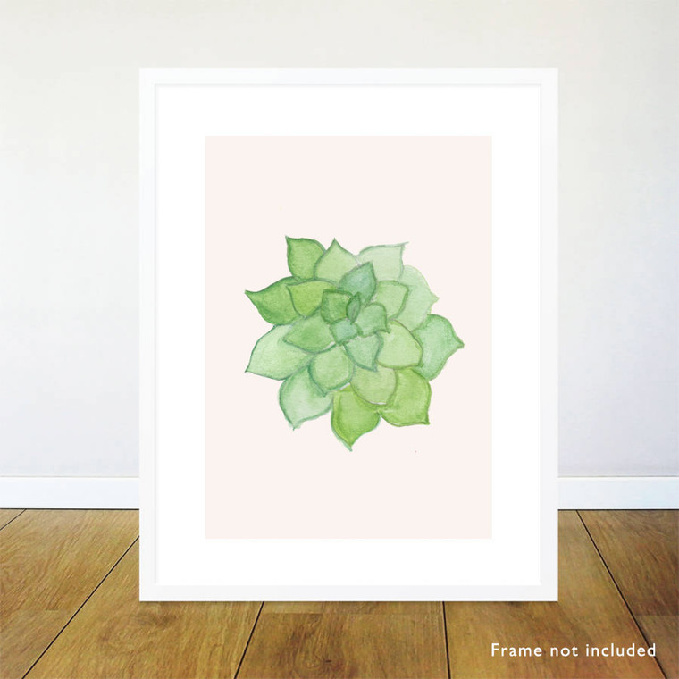Agave