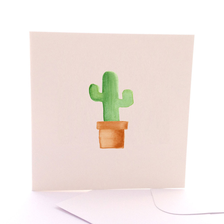 Mr Cactus