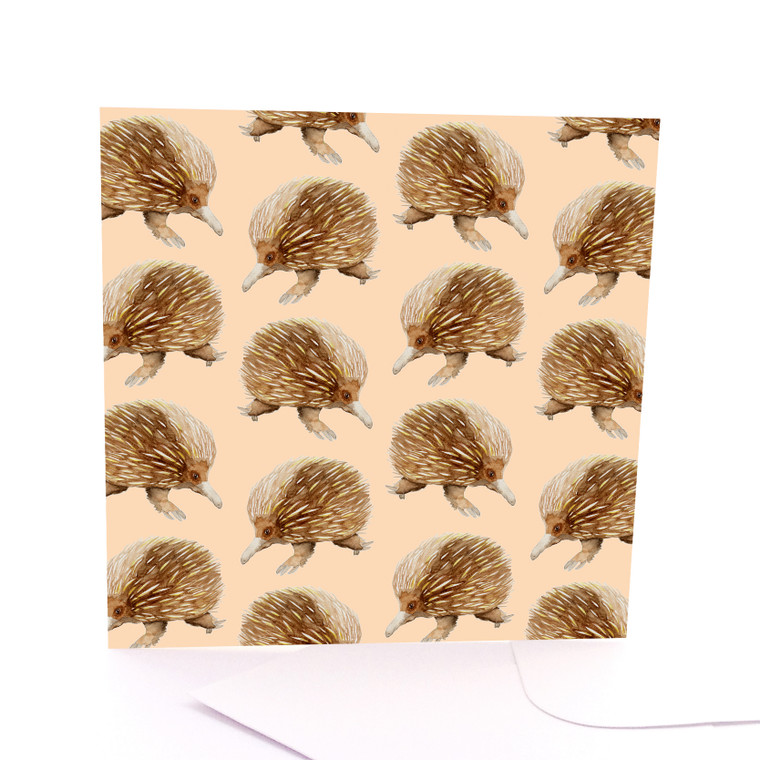 Echidna Stampede