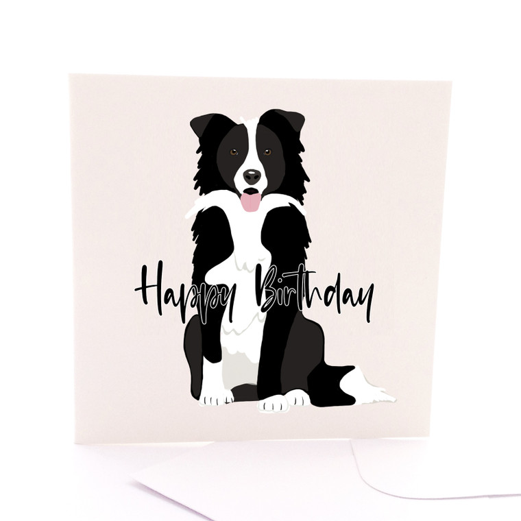 Border Collie