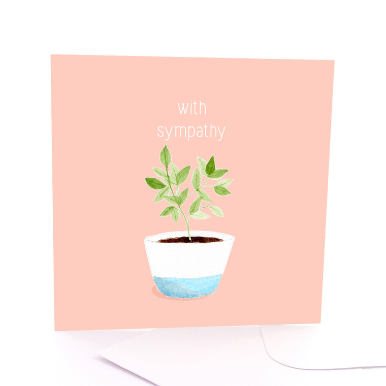 Sympathy Plant