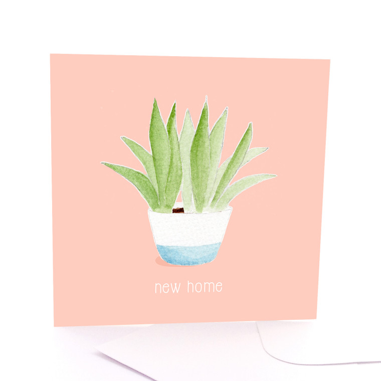 New Home Plant