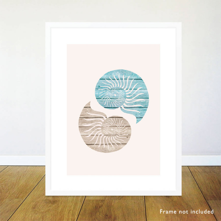 Nautilus Pair