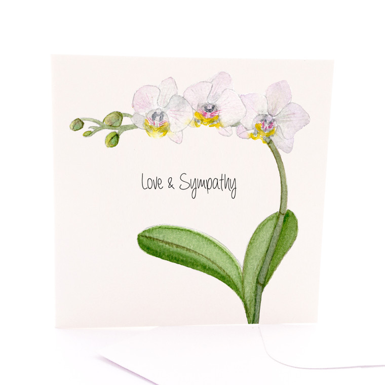Botanica Phalaenopsis Sympathy