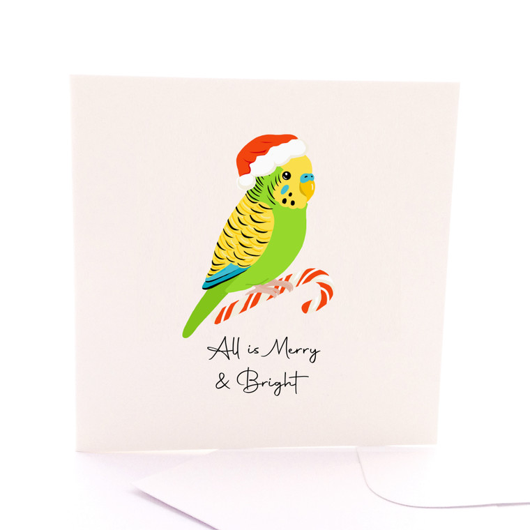 Candy Cane Budgie