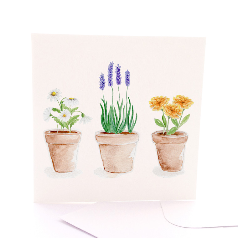 Potted Colour