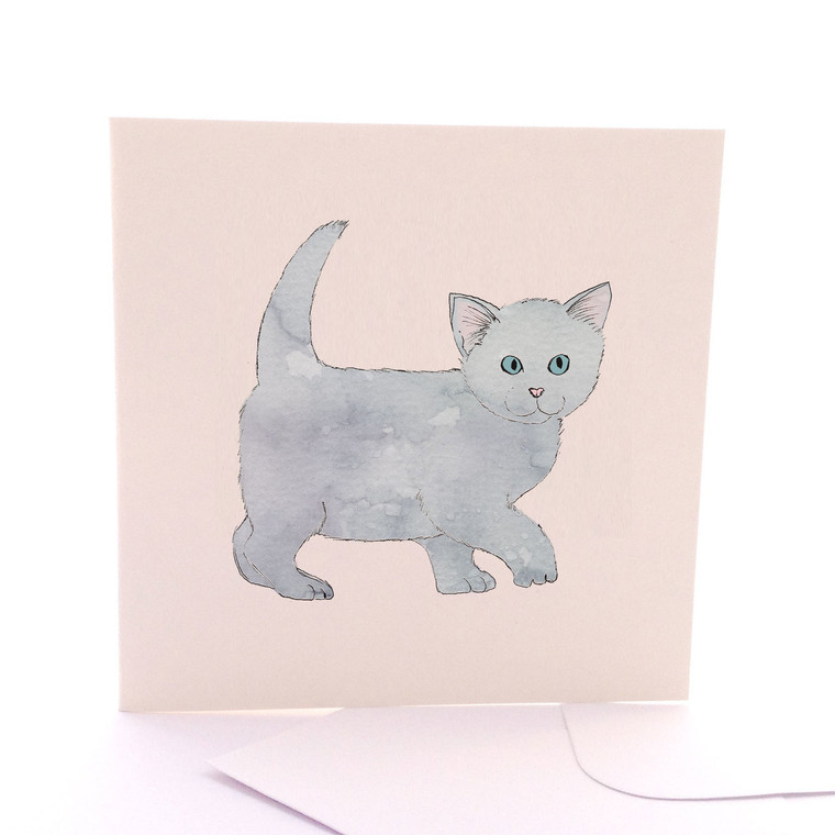 Kitten