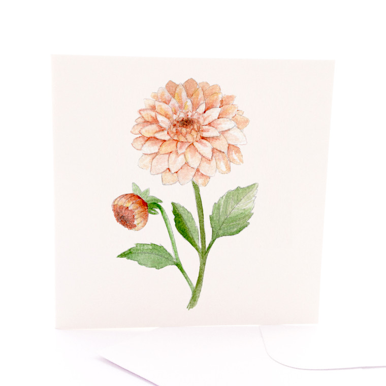 Botanica Dahlia