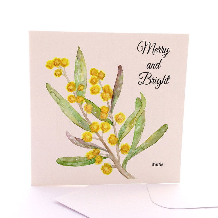 Xmas Wattle