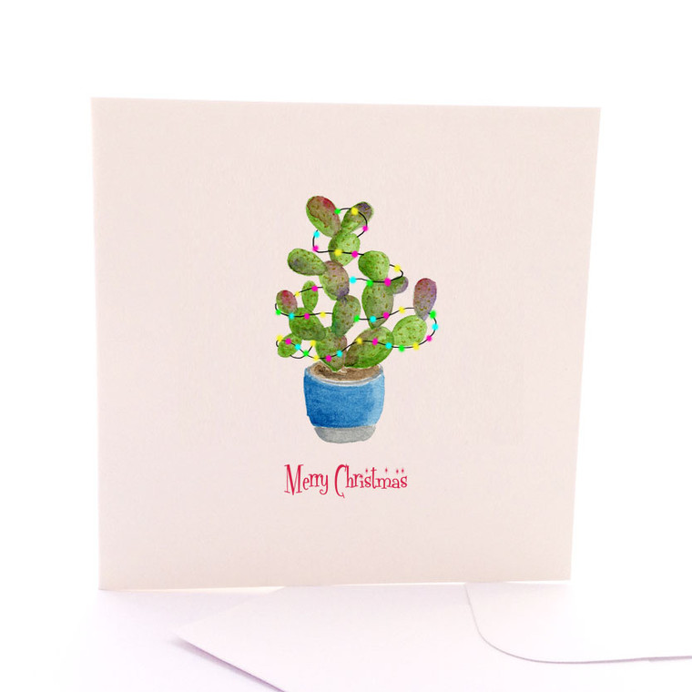Christmas Cactus