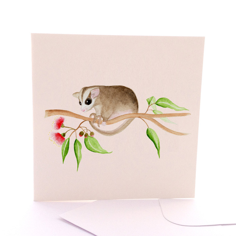 Baby Possum