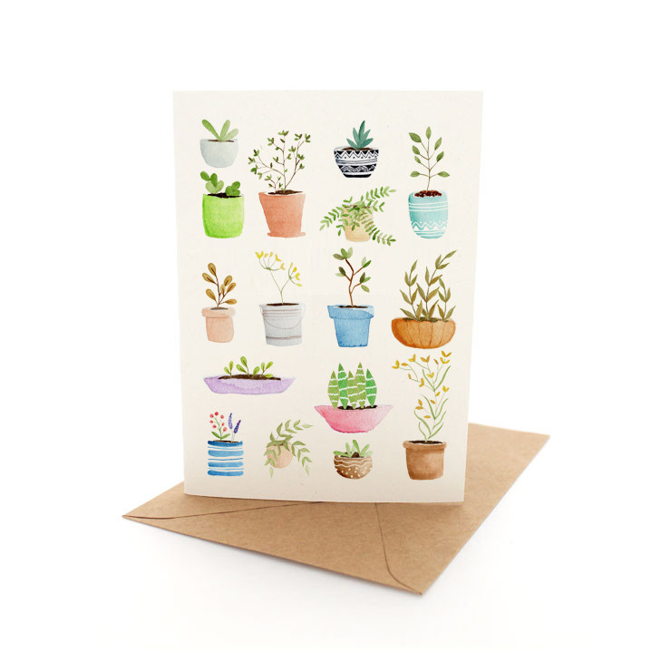 Plant Gallery