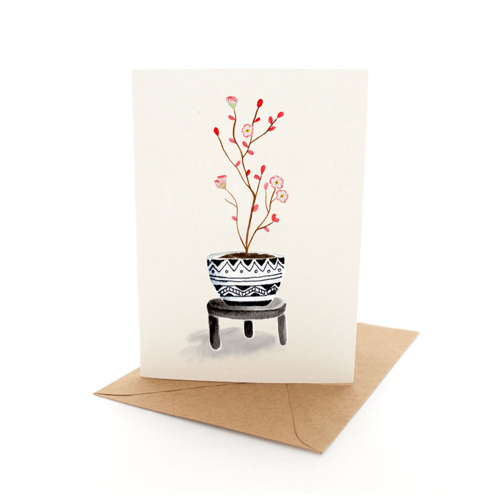 Ornamental Plant