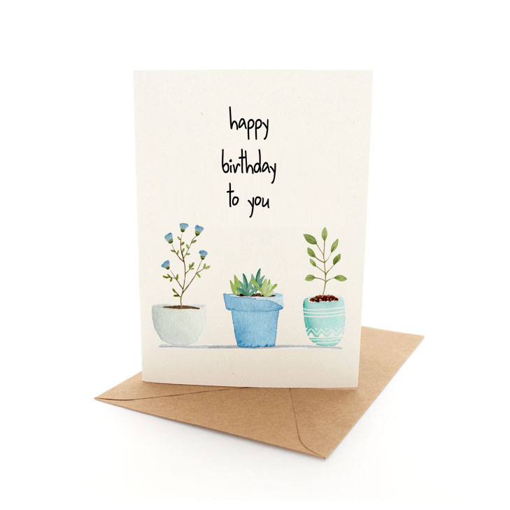 Birthday Plants