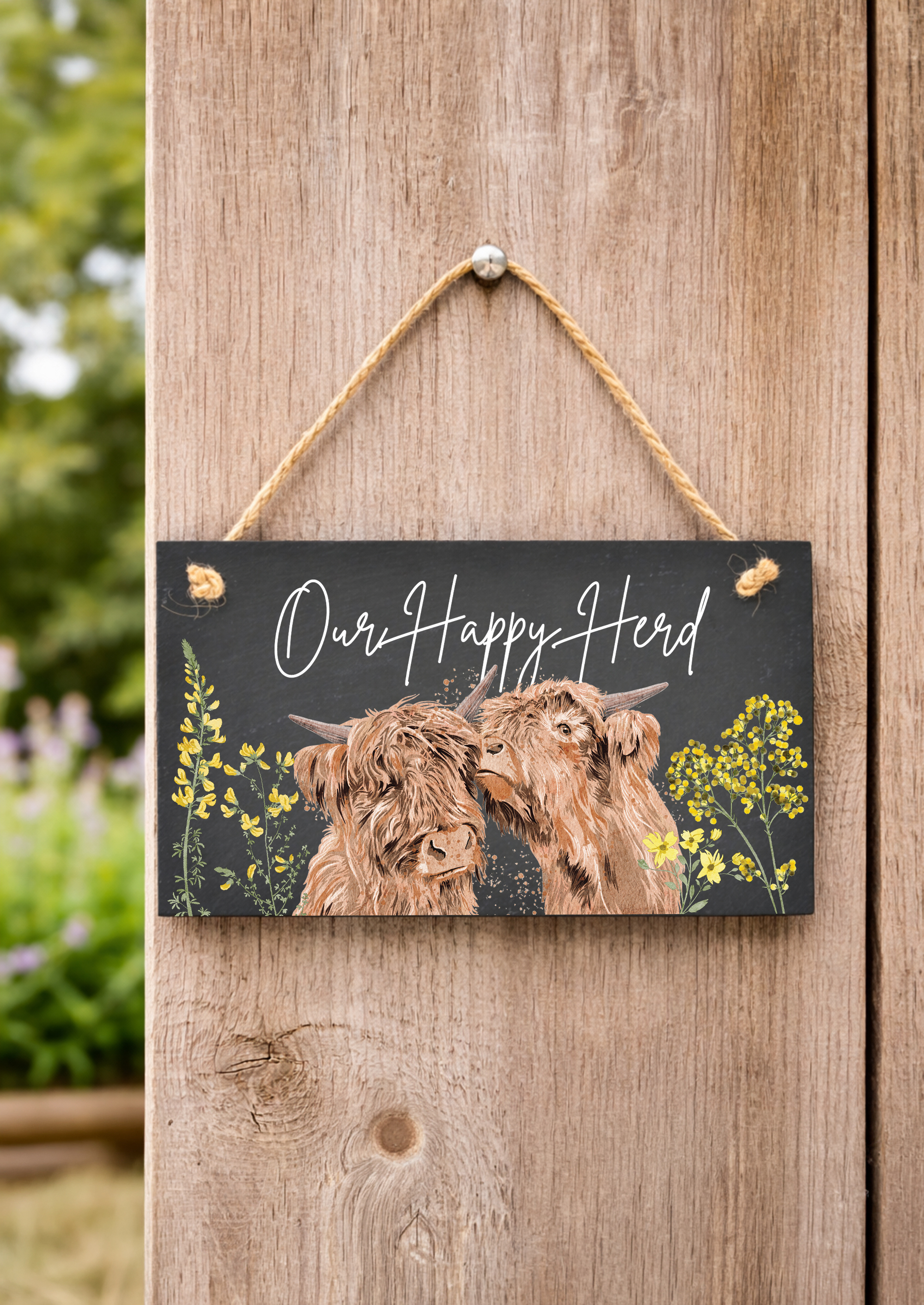 Coos – The Highland Herd