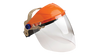 Face Shields
