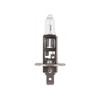24V H1 Globe for Rotating Beacons 64155