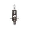 24V H1 Globe for Rotating Beacons 