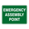 Emergency Sign - Emergency Assembly Point SSE-1015
