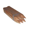 Dumpy Pegs - Unpainted - 50mm x 50mm x 600mm BF-5095