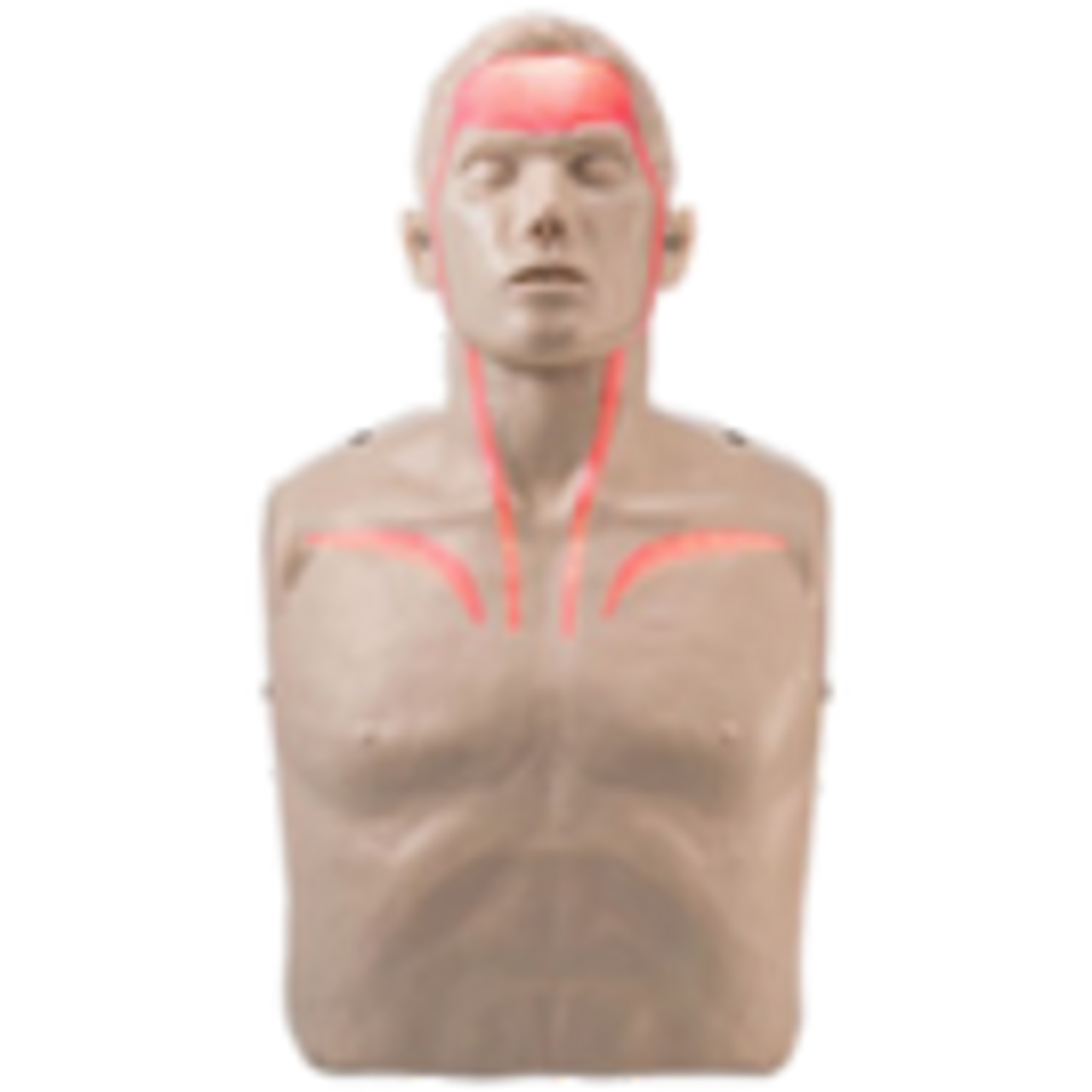First Aid Training Supplies