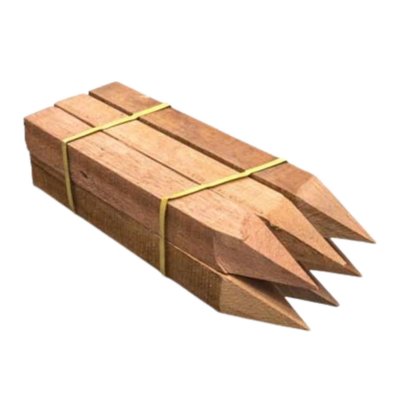 Stakes & Pegs Stakes & Pegs