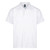 Aussie Pacific Mens Hunter Polo 