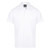 Aussie Pacific Mens Botany Polo 