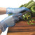 Blue Vinyl Powder Free Gloves - Pack  of 100 