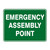 Emergency Sign - Emergency Assembly Point SSE-1015