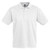 Biz Collection Mens Ice Polo 