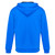 Biz Collection Adults Renegade Hoodie 