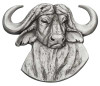 Cape Buffalo Pewter Medallion