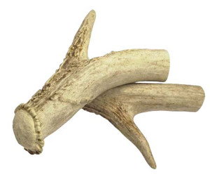 ANTLER CANE HANDLE