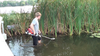 gas powered cattail lily pad pond lake weed cutter