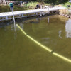 Lake Groomer with a clean dock area