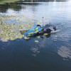 WaterBug Harvesting Lily Pads